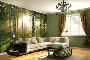 forest-a-003