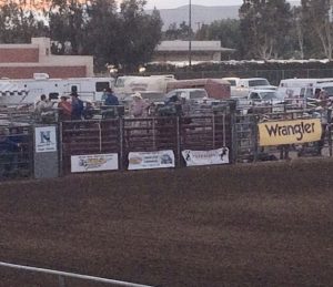 rodeo chute sponsors