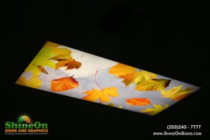 lightcoverpanels-installed-leaves