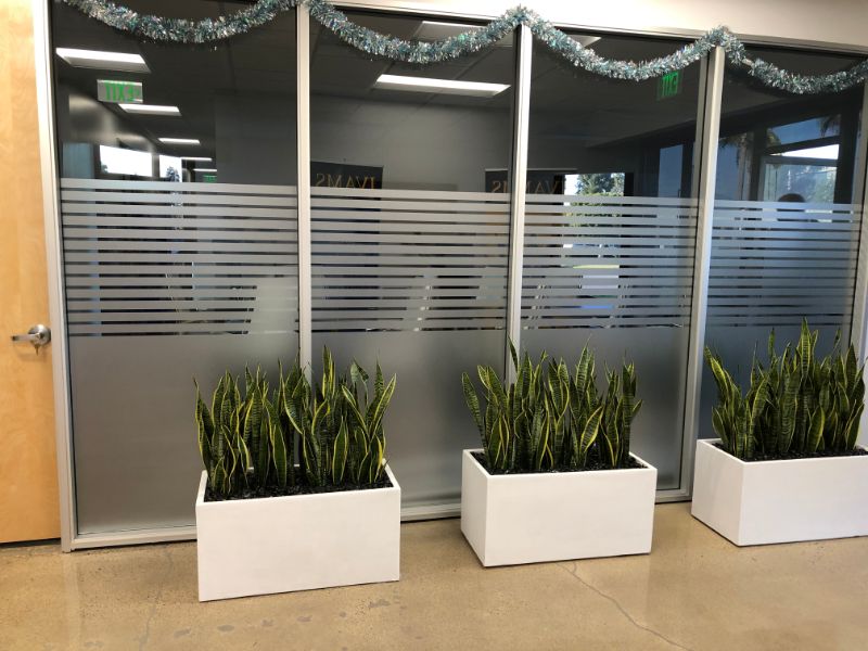 Frosted Glass Graphics and Privacy Film for Office Spaces in Orange County CA