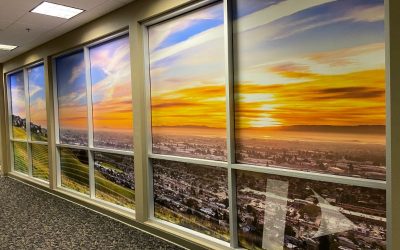 Office Window Graphics Create a Serene Space for Employees to Work in Los Angeles!