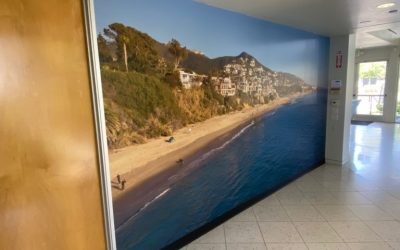 Scenic Wall Murals Make Office Space an Attractive and Soothing Place to Work in Anaheim, CA!