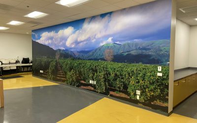 Scenic Wall Murals Make Office Space an Attractive and Soothing Place to Work in Anaheim, CA!