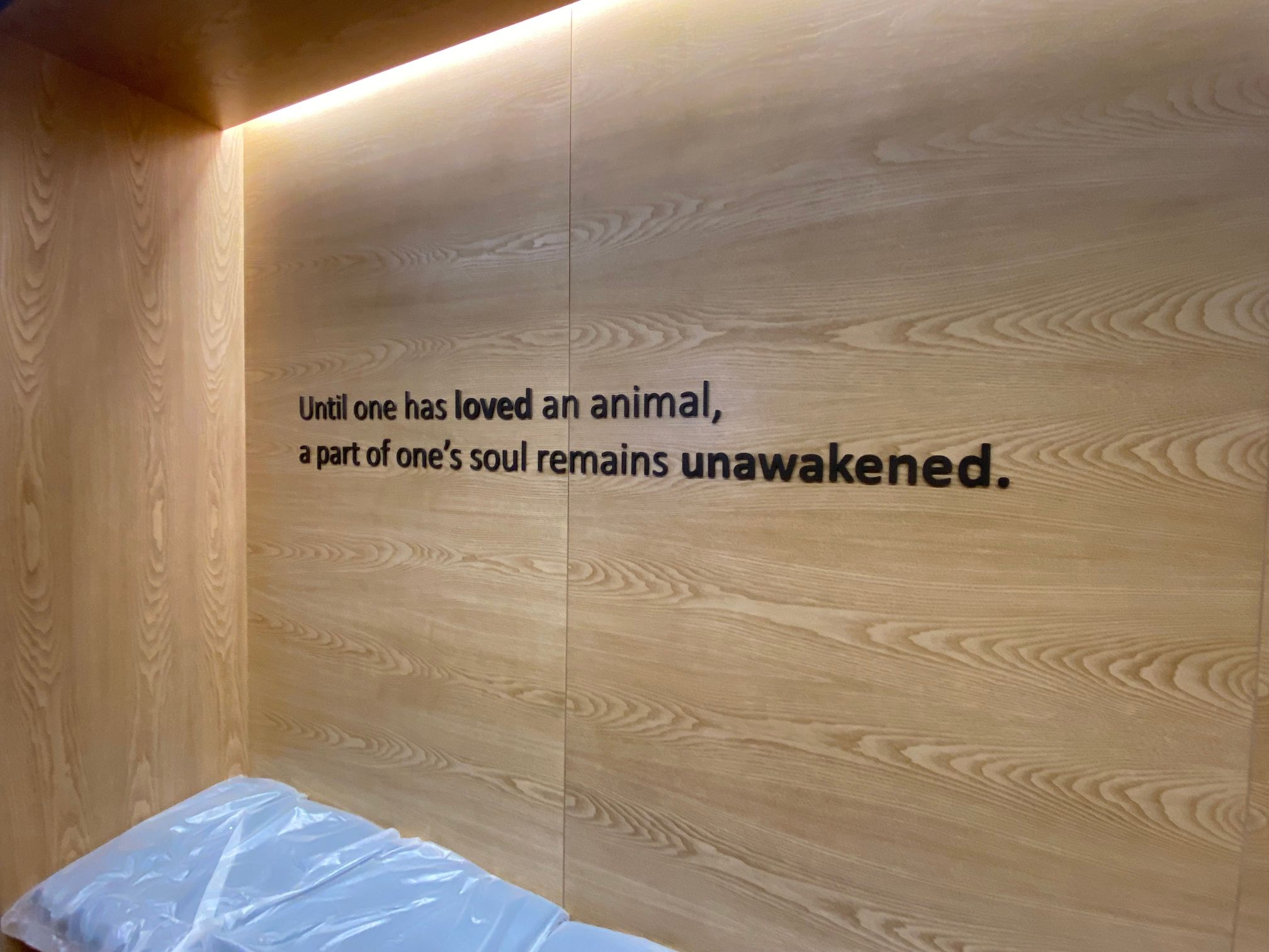 Dimensional Lettering Cut from Acrylic Adds a Finished Look to Office Spaces in Los Angeles CA