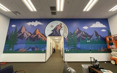 Environmental Wall Graphics for Offices in Riverside County, CA Create a Relaxing Space to Work!
