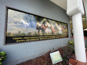 perforated window graphics in buena park, ca