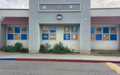 Perforated Window Graphics Provide Security, Branding, and Positive Motivation for Students at Elementary Schools in Orange County, CA!