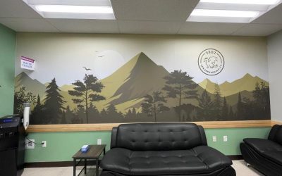 Wall Graphics for Medical Offices and Treatment Rooms in Los Angeles, CA, Create a Serene Atmosphere for Patients!