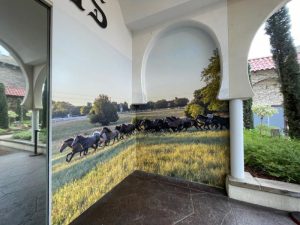 custom wall murals and wall wraps in buena park, ca