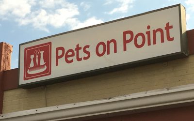 Spark Signs & Graphics Installs New Cabinet Display and Window Graphics for Pet Grooming Business – Pittsburgh, PA